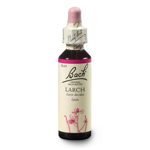 Larch